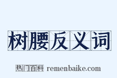 树腰反义词是什么意思的图片